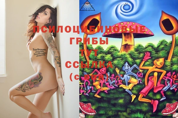 винт Снежинск
