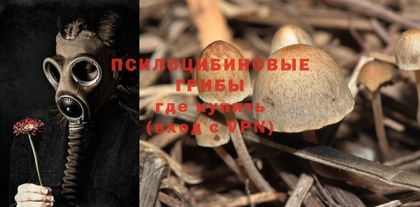 крисы Семёнов