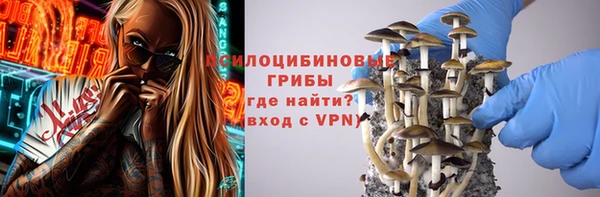 скорость Снежногорск