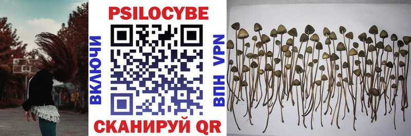 Галлюциногенные грибы MAGIC MUSHROOMS  даркнет сайт  площадка как зайти  Горячеводский 